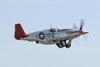 GML_2274t.jpg