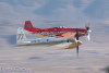 dago-bear.8011t.jpg