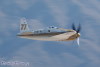 rarebear_8026t.jpg