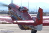 dagored.7955t.jpg