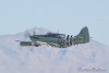 firefly_8076t.jpg