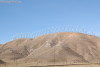 trip_8297t.jpg