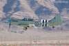 firefly_8073t.jpg
