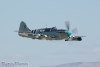 firefly_8094t.jpg