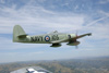 MF8_1495t.jpg