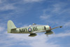 MF8_1517t.jpg