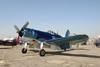MF8_1712t.jpg