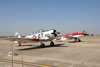 MF8_1731t.jpg