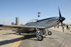 MF8_1736t.jpg