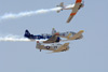 mF8_3376t.jpg