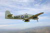 MF8_1487dt.jpg