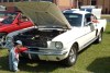 66_GT350_white_w7_1t.jpg