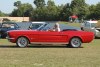 65_conv_red_w7_1t.jpg