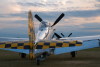 cu.44-74446.cf1.3456t.jpg