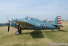 wildcat_4048t.jpg