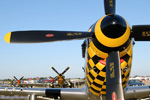 P-51