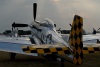 OK6_5587t.jpg