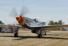OK6_4489t.jpg