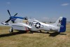 OK6_4509t.jpg