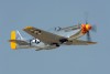 OK6_5195t.jpg
