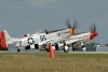 OK6_5963t.jpg