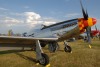 OK6_6121t.jpg