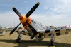 OK6_6312t.jpg