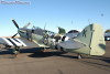 firefly-13t.jpg