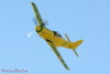 RN5_51.6593t.jpg