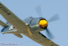 RN5_5323t.jpg