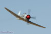 RN5_5424t.jpg