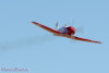 RN5_5601t.jpg
