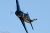 RN5_6604t.jpg
