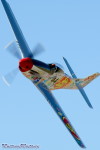 RN5_v6489t.jpg
