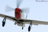 RN5_5015pst.jpg