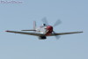 RR3_4895t.jpg
