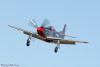 RR3_4923t.jpg
