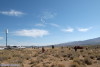 Reno5_2550t.jpg