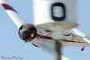 RN5_6188t.jpg