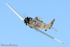 RN5_6518t.jpg