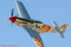RN5_6105t.jpg