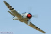 RN5_5336t.jpg