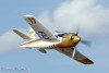 RN5_6675t.jpg
