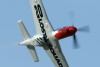RN5_6895t.jpg