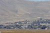 RN6_8177wpt.jpg