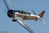 RN6_1394wpt.jpg