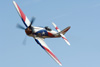 RN6_2689t.jpg