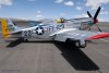 RP6_2486wt.jpg