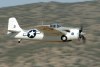 RN5_5394t.jpg