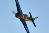 RN5_6813t.jpg